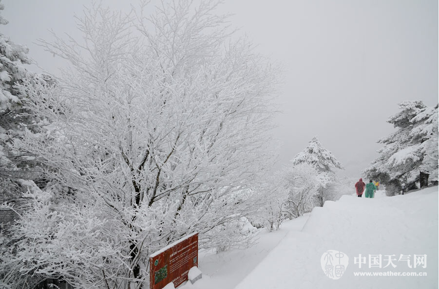 【大美中国】：黄山雪景