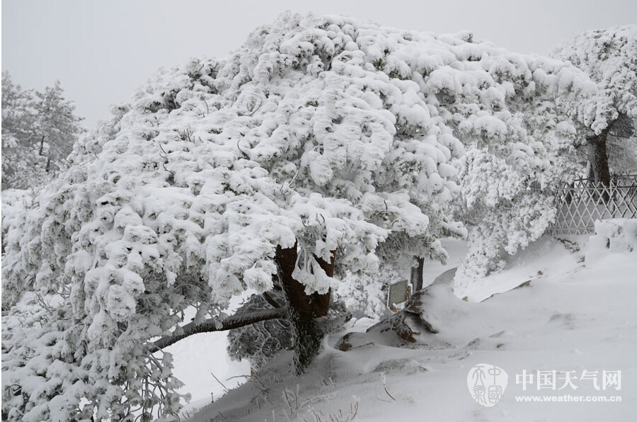 【大美中国】：黄山雪景