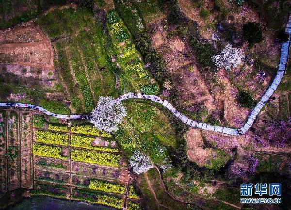 大美中国：“山花烂漫”