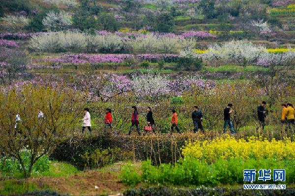 大美中国：“山花烂漫”