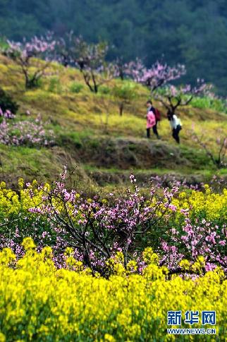 大美中国：“山花烂漫”