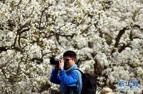 http://news.xinhuanet.com/photo/2012-03/26/122881561_71n.jpg