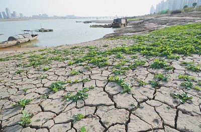 江西旱情蔓延9.2万亩绝收 23万人饮水困难