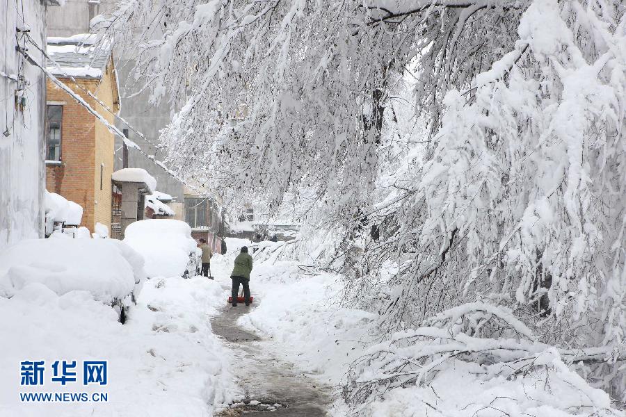 #（社会）（3）黑龙江鹤岗遭遇50年一遇雪灾