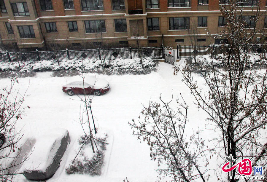 12月4日，经过两天的降雪，地面几乎全被大雪覆盖。中国网图片库 胡迪摄影