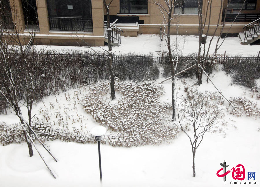 12月4日，经过两天的降雪，地面几乎全被大雪覆盖。中国网图片库 胡迪摄影