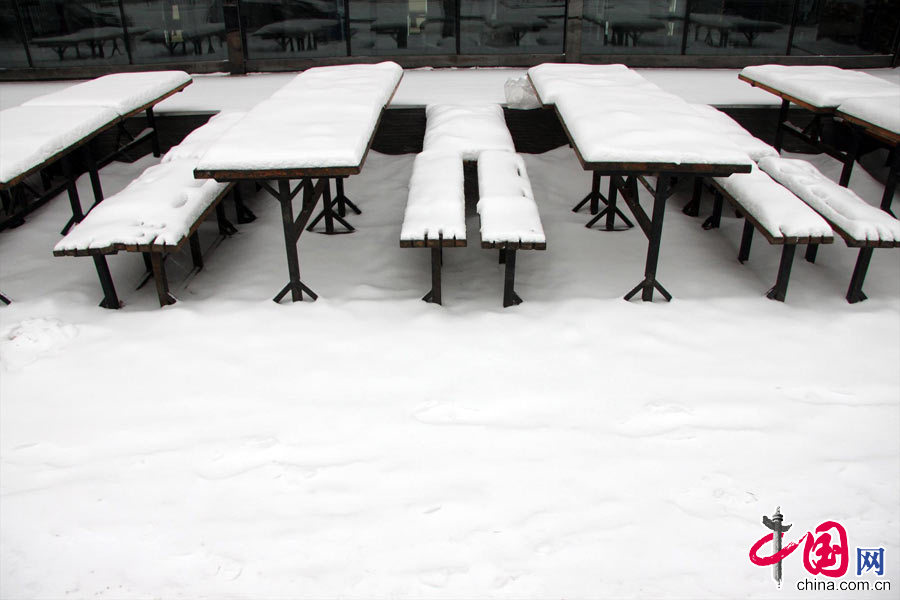 12月4日，经过两天的降雪，地面几乎全被大雪覆盖，车辆被冰雪覆盖。中国网图片库 胡迪摄影