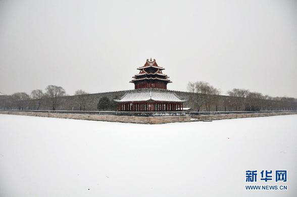 #（生态）（1）京城飞雪迎大寒