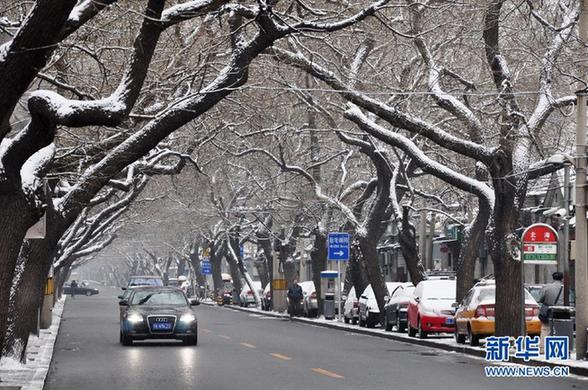 #（生态）（5）京城飞雪迎大寒