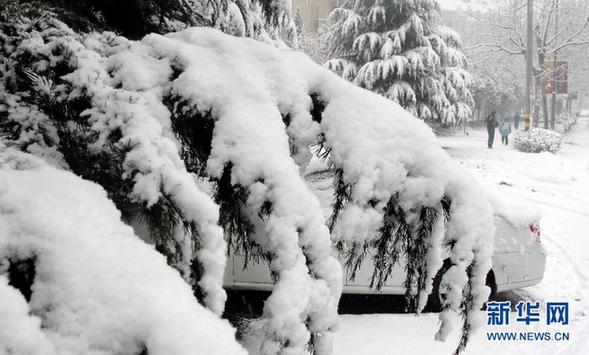 （生态）（3）济南大寒迎降雪