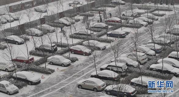 （生态）（3）北京飘雪