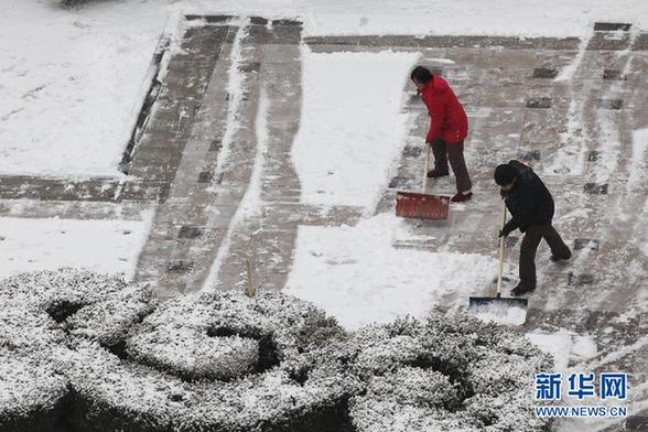 （生态）（4）北京飘雪