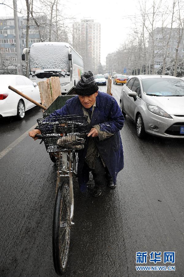 （生态）（5）北京飘雪