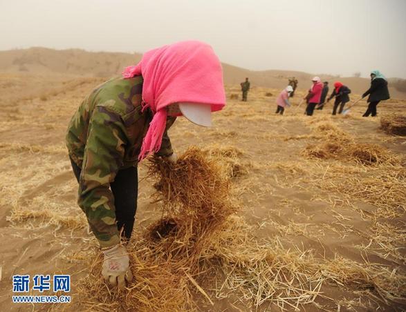 （走基层 听民声）（1）压沙防沙 改善生态