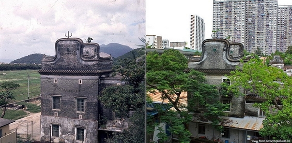 沙田曾大屋 1977 vs 2011