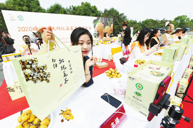 昨天,第22届杭州塘栖枇杷节开幕