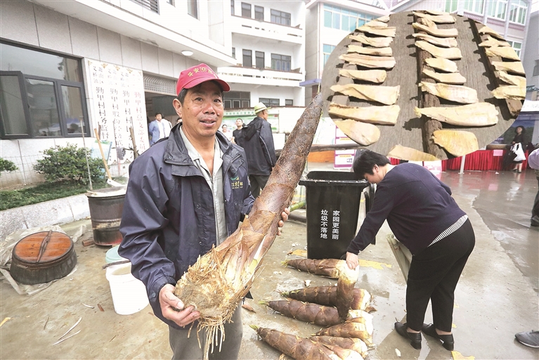 连日来,萧山义桥镇山区片的村民将山上掏挖来的毛笋,进行加工,制作和