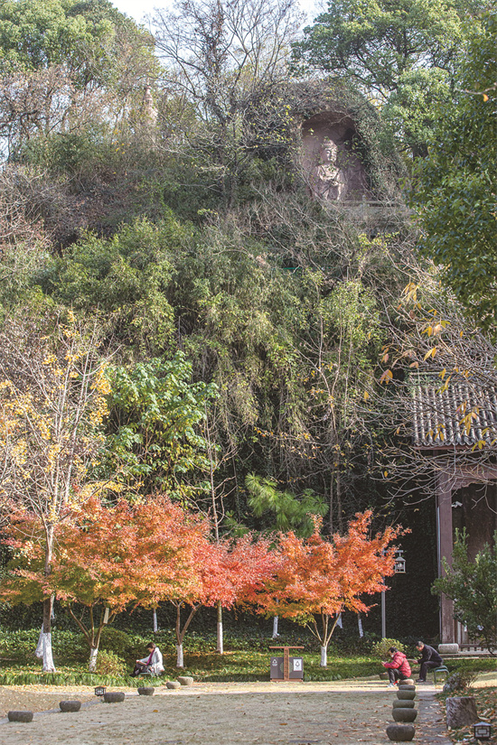 深秋，来杭州最小的山看最大的摩崖石刻