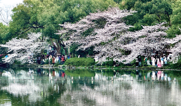 春天的杭州太抢手！上榜清明假期热门目的地，还有人在安排“五一”游了