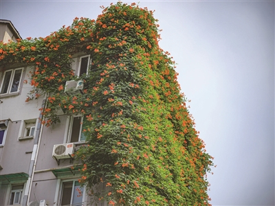 75039004ca9b28d0822abd81b2569507_rB4AiWYe5vCAaZQaAAHbUFzKbHI339.jpg 75039004ca9b28d0822abd81b2569507_rB4AiWYe5vCAaZQaAAHbUFzKbHI339.jpg