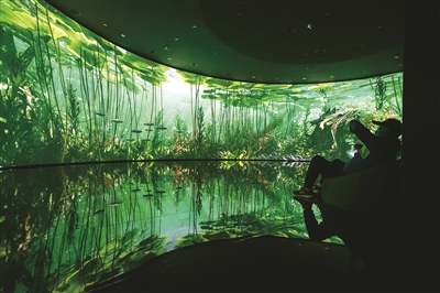 32.5米超长巨幕包围下，体验湿地与文明的震撼 中国湿地博物馆焕新回归