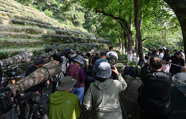 806cf26b2182efb26f48d31b7fb92c8f_resize,w_640.jpg 806cf26b2182efb26f48d31b7fb92c8f_resize,w_640.jpg