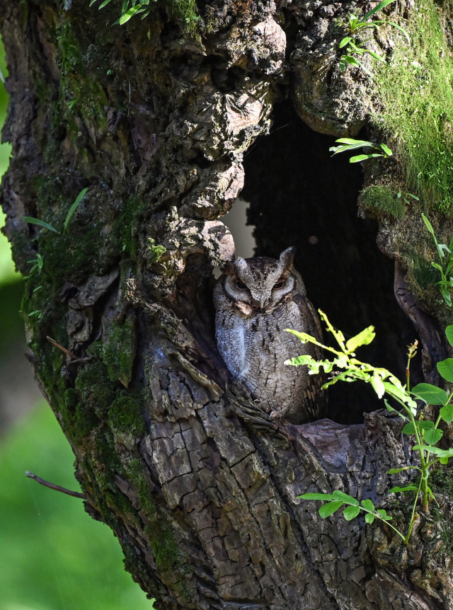 9228b800621236550f0ebbc462cfb0ce_resize,w_640.jpg 9228b800621236550f0ebbc462cfb0ce_resize,w_640.jpg