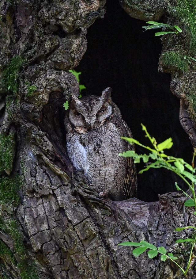 105d8d8987a6f252fecc401d85f5271b_resize,w_640.jpg 105d8d8987a6f252fecc401d85f5271b_resize,w_640.jpg