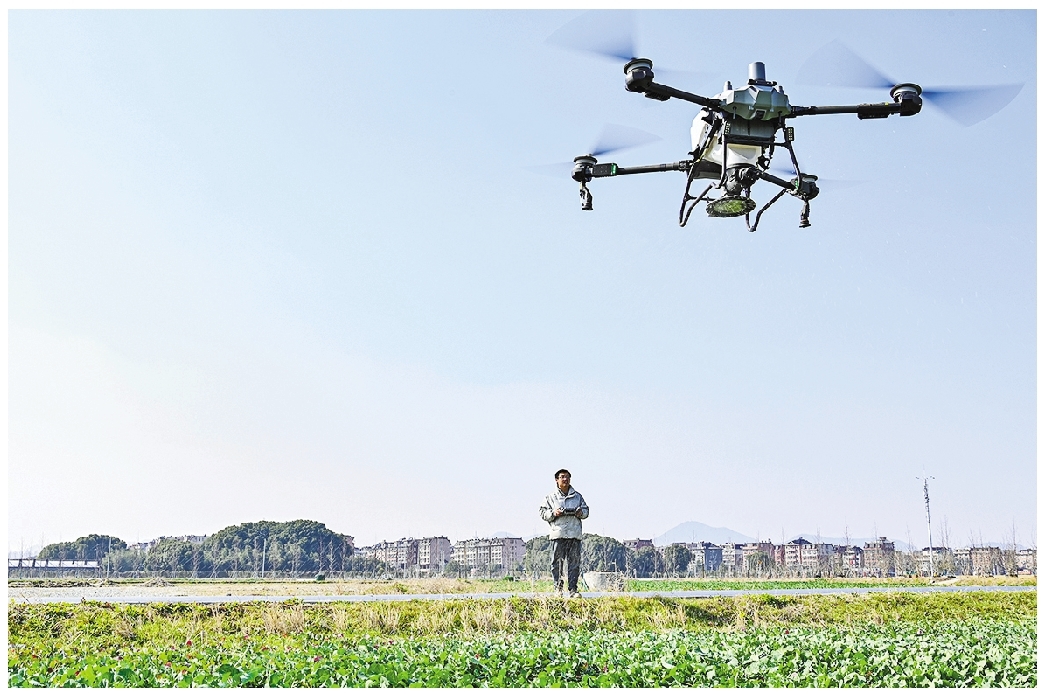 田立方·临平未来农场。记者 张之冰 摄