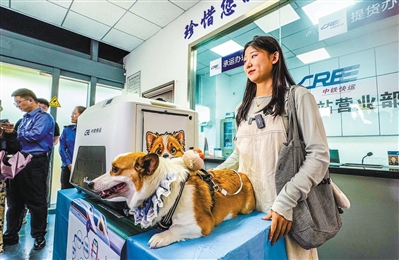 刘女士带着小乖乘坐G184列车从杭州前往南京