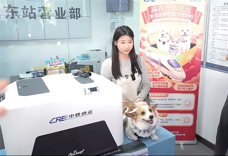 杭州东站宠物托运(资料图)记者 徐盈盈 摄