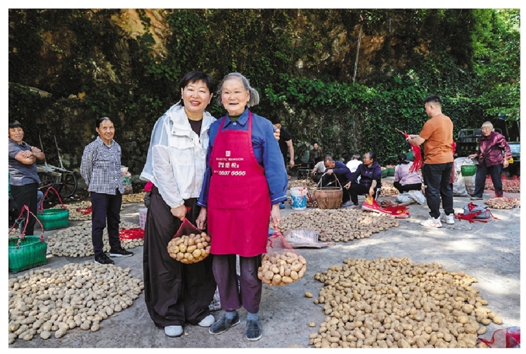 杨彩虹和方四花,两代人并肩拍了一张合影。手里的土豆沉甸甸,脸上的笑意暖融融。