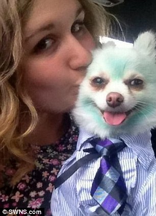 Stephanie Mariam dyes her dog different colours because she thinks it makes him happy 