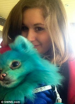 Stephanie Mariam dyes her dog different colours because she thinks it makes him happy 